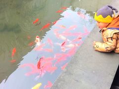 -中国湿地博物馆