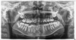 点击看大图 -青苗儿童口腔(长楹天街购物中心)