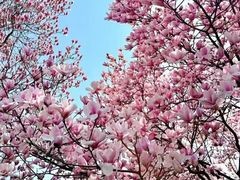 -西安曲江寒窑遗址公园