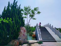 -大港湿地公园