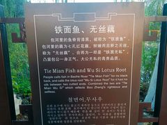 -包公祠