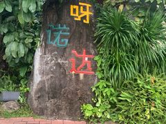 -呀诺达热带雨林