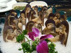 -渔傅·蓝海岸霞浦海鲜(正祥店)