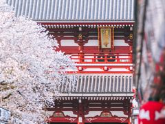 -浅草寺