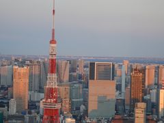 -六本木新城展望台(东京城市景观)