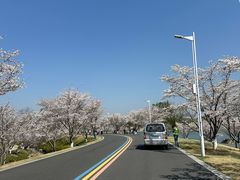 -羊山湖公园