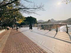 -立新湖公园
