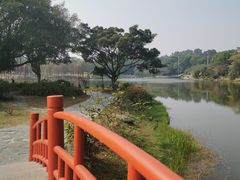-东莞植物园