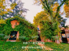 -西安电影制片厂