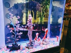 -巴特餐饮6加1音乐餐吧·新疆菜
