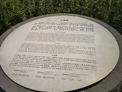 -绳金塔