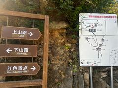 -大岭沟猕猴桃谷风景区
