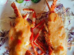-顺德了能馆(虎门店)