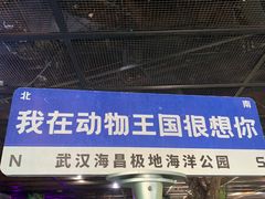 -海合安武汉极地海洋公园
