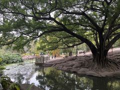 -晓港公园
