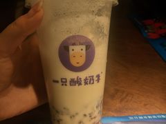 -一只酸奶牛(丹尼斯大卫城店)