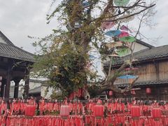 -婺源梦里老家大型山水实景演出