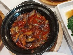 -新雅粤菜馆(南京东路店)