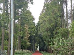 -上海长兴岛郊野公园