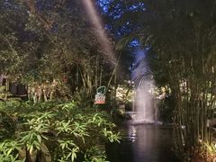 -绿光森林餐厅