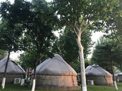 -九十九顶毡房(阜石路店)