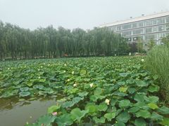 -廊坊文化艺术中心