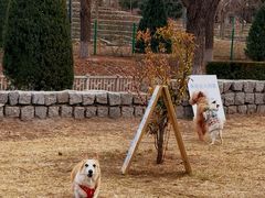 -小意思咖啡店(草桥店)