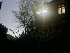 -叶家花园