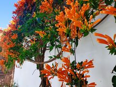-瑞丰园庭院餐厅·白族传统家常菜
