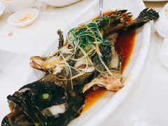 清蒸石斑鱼-南海渔家•海鲜•正宗海南菜(海棠湾店)