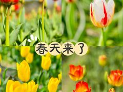 -大宁公园