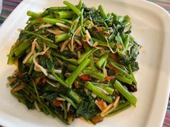酸笋通心菜-呐咪傣园·云南菜(石厦店)