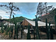 -MOJ coffee(瓯海泽雅水碓坑店)