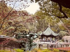 -申粤轩酒楼·三十年粤菜经典(丁香花园店)