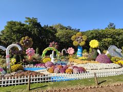 -上海共青森林公园