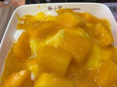 -杨小贤芒果绵绵冰(南门口店)