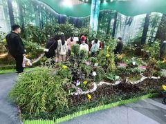 -东南花都花博园
