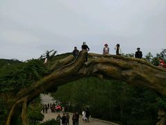 -威海华夏城景区