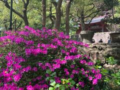 -城隍阁