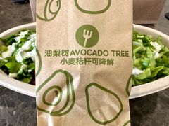 -油梨树AVOCADO TREE(望京店)