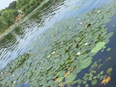 -长春市南湖公园