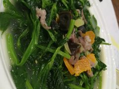-鹅城