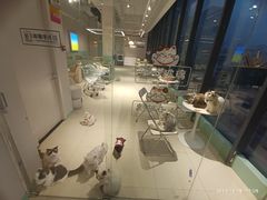 -怪兽屋·羊驼·猫咖·狗咖(俊华广场店)