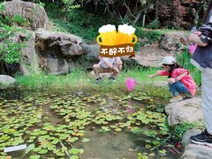 -秀丽东方