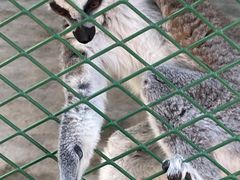 -水上乐园·欢乐世界