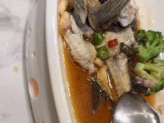 -顺意·顺德家乡菜(国际人才大厦店)