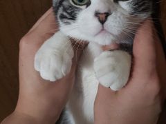 -宠爱国际动物医院·消化内科·心肾内科·ISFM猫友好(望京店)