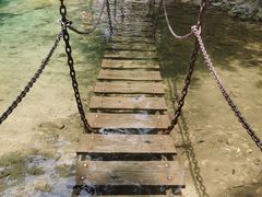 -南海湾森林生态园