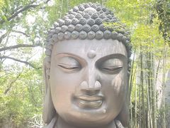 -杭州植物园