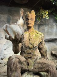 -Zoolung Zoolung动物主题公园(海信广场店)